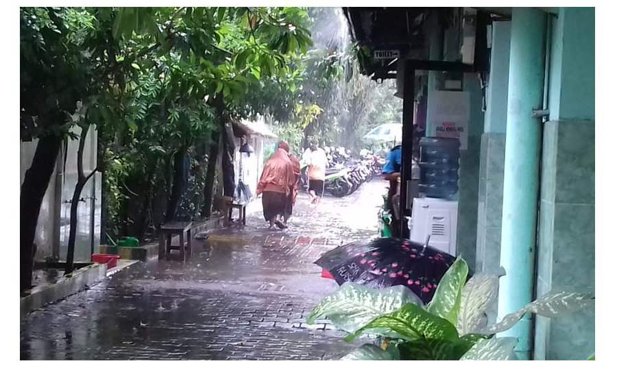 Putri Rimba